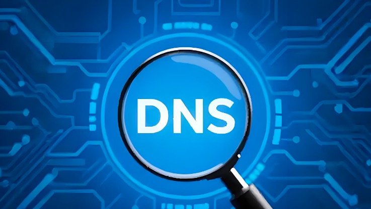 DNS查询