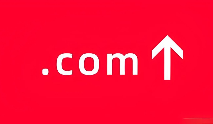 域名.com